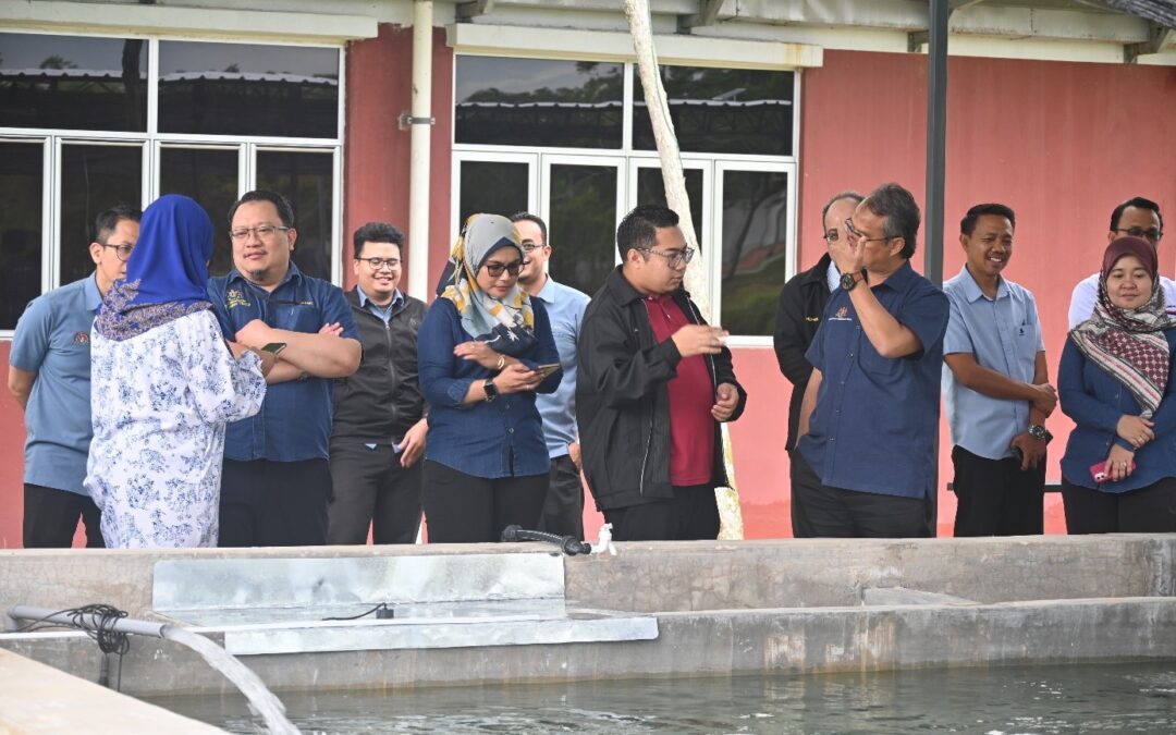 Penternakan Ikan Kelah Berasaskan Teknologi: Meningkatkan Kemandirian Komuniti dan Memelihara Raja Sungai