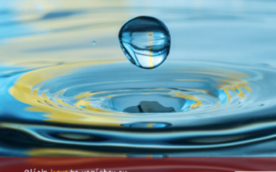 Supporting Your Research Webinar Series for March 2021